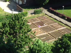 agrandissement jardin