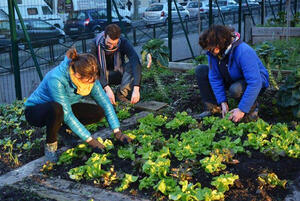 agriurbaine