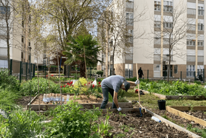 Jardin Les Ulis 1 an