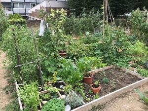 jardin partagé fontenay7