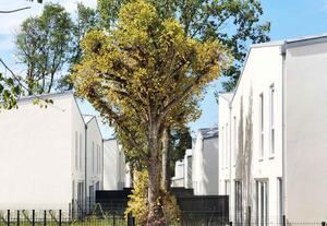 Perray-2