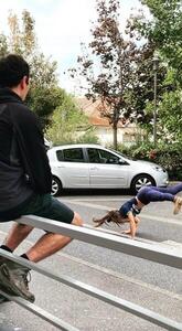 Toit et Joie - poste Habitat